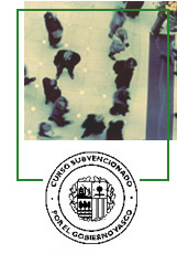 Bachillerato de Humanidades y Ciencias Sociales (Modelo A) Bachillerato de Humanidades y Ciencias Sociales (Modelo A)